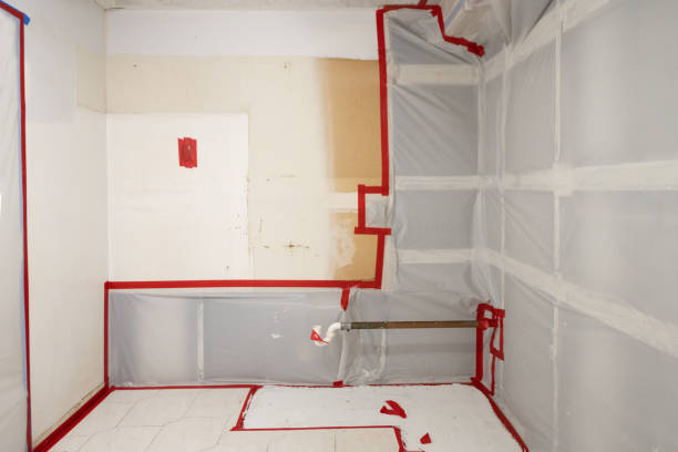 Best Emergency Mold Remediation  in Auburn, KY