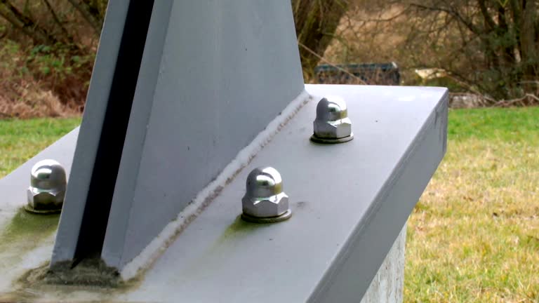 Best Real Estate Mold Inspection  in Auburn, KY